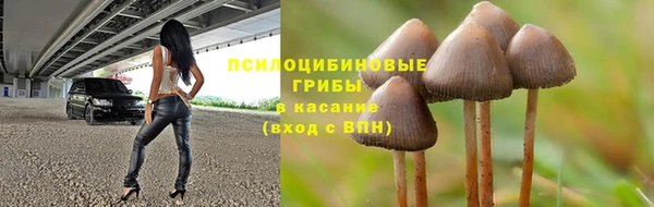 прущая мука Волоколамск